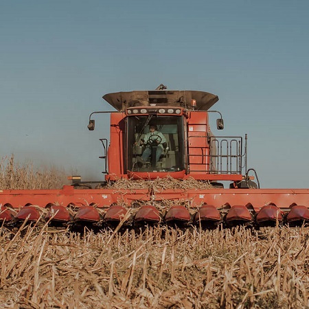 Agriculture Logo