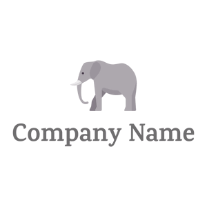 standing Elephant on a White background - Animals & Pets